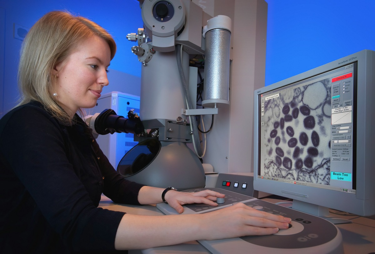 donna esamina virus del vaiolo al microscopio