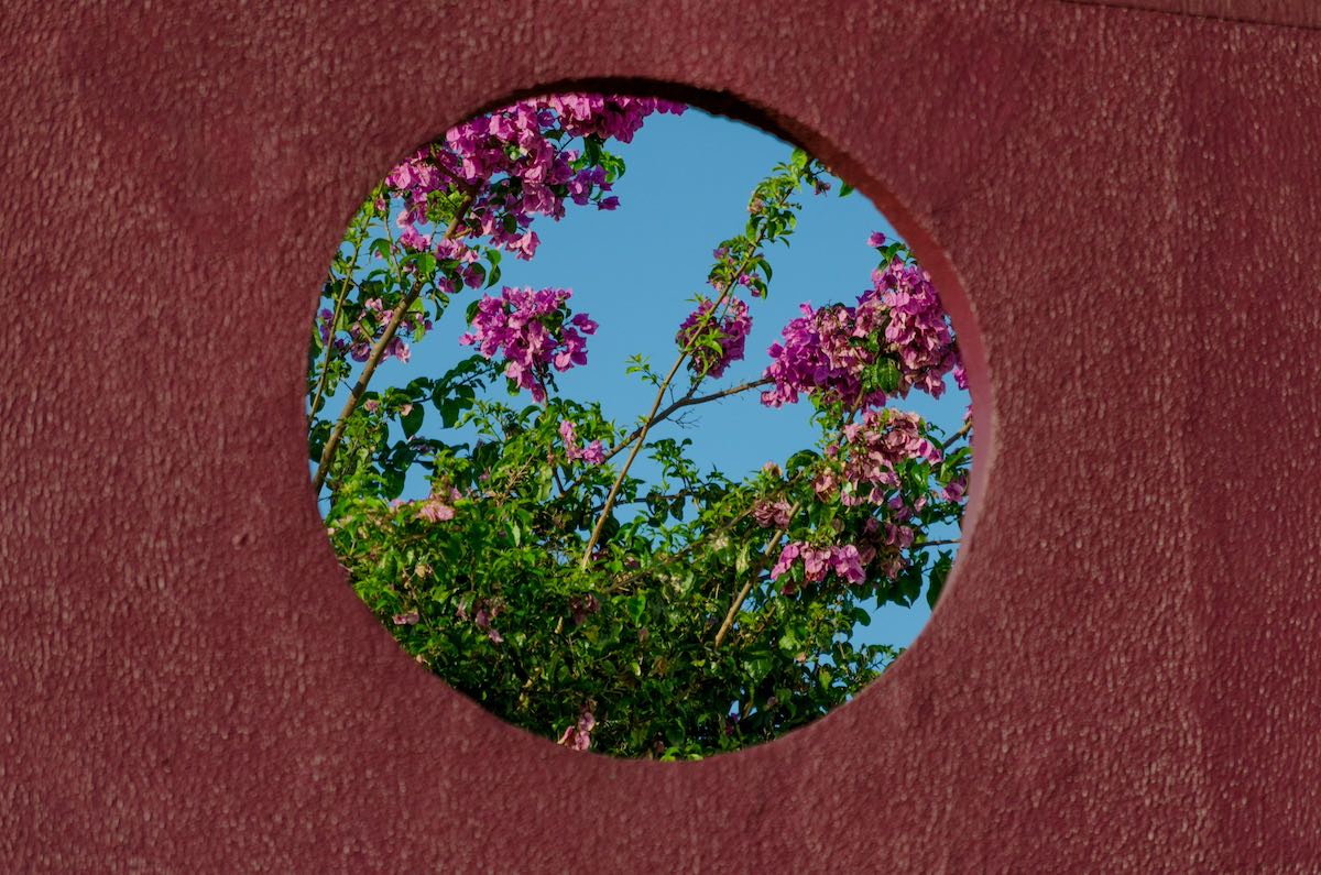 scorcio di giardino con fiori fucsia visibile da apertura di forma circolare