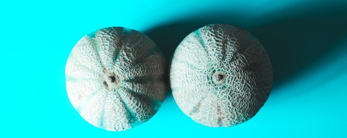 Due frutti grigi simili a meloni appoggiati su superficie neutra con stile minimal